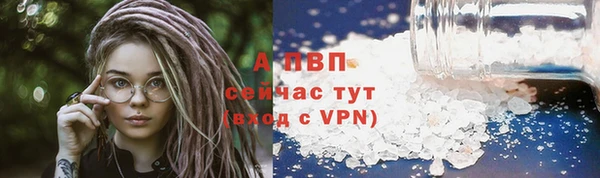 соль ск Ельня