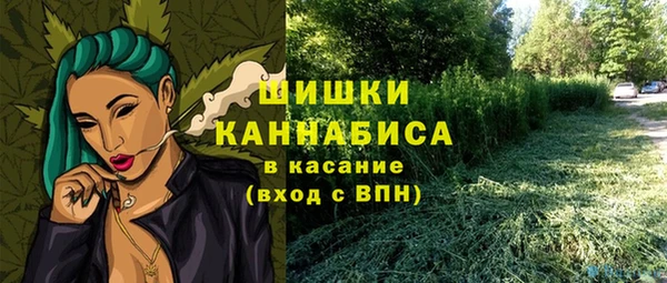 МДПВ Дмитровск