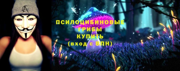 МДМА Дмитриев